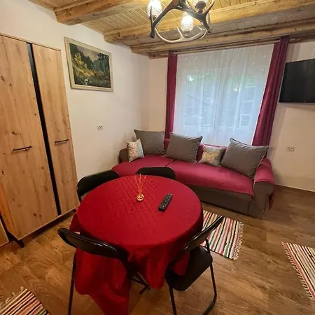 Studio Ioana 2 Apartment *