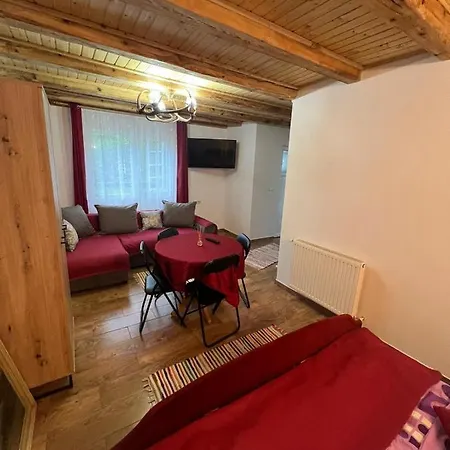 Studio Ioana 2 Apartment